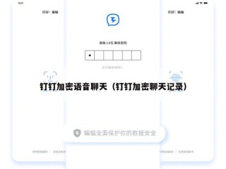 钉钉加密语音聊天（钉钉加密聊天记录）