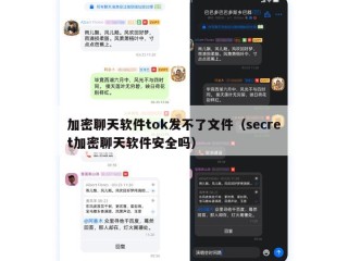 加密聊天软件tok发不了文件（secret加密聊天软件安全吗）