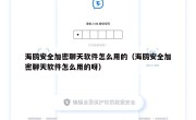海鸥安全加密聊天软件怎么用的（海鸥安全加密聊天软件怎么用的呀）