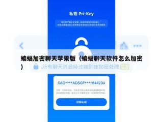 蝙蝠加密聊天苹果版（蝙蝠聊天软件怎么加密）