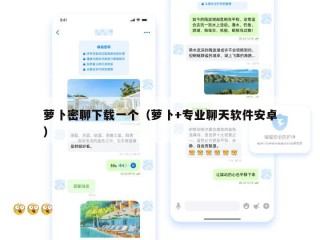 萝卜密聊下载一个（萝卜+专业聊天软件安卓）