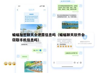 蝙蝠加密聊天会泄露信息吗（蝙蝠聊天软件会窃取手机信息吗）
