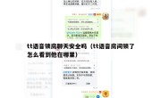 tt语音锁房聊天安全吗（tt语音房间锁了怎么看到他在哪里）