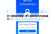 萝卜密聊在线客服（萝卜蜜的功效与作用及图片）