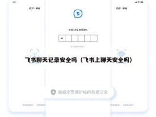 飞书聊天记录安全吗（飞书上聊天安全吗）