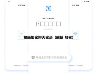 蝙蝠加密聊天密语（蝙蝠 加密）