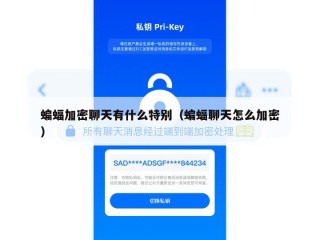 蝙蝠加密聊天有什么特别（蝙蝠聊天怎么加密）