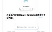 吃蝙蝠的聊天图片大全（吃蝙蝠的聊天图片大全大图）