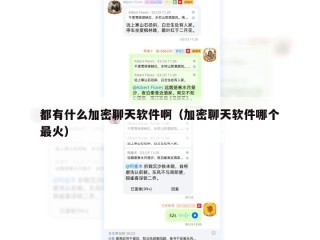 都有什么加密聊天软件啊（加密聊天软件哪个最火）