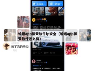 蝙蝠app聊天软件ip安全（蝙蝠app聊天软件怎么样）