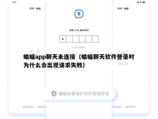 蝙蝠app聊天未连接（蝙蝠聊天软件登录时为什么会出现请求失败）
