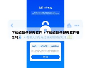 下载蝙蝠侠聊天软件（下载蝙蝠侠聊天软件安全吗）