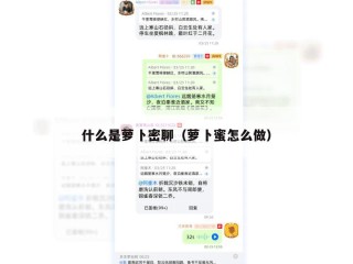 什么是萝卜密聊（萝卜蜜怎么做）