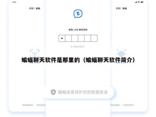 蝙蝠聊天软件是那里的（蝙蝠聊天软件简介）