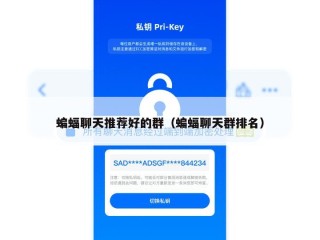 蝙蝠聊天推荐好的群（蝙蝠聊天群排名）