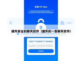 国外安全的聊天软件（国外的一些聊天软件）
