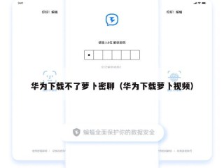 华为下载不了萝卜密聊（华为下载萝卜视频）