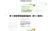萝卜密聊没有撤回功能吗（萝卜+聊天）