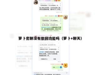 萝卜密聊没有撤回功能吗（萝卜+聊天）