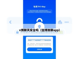 v博聊天安全吗（信博微聊app）