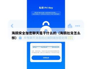 海鸥安全加密聊天是干什么的（海鸥社交怎么样）