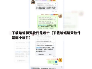 下载蝙蝠聊天软件是哪个（下载蝙蝠聊天软件是哪个软件）