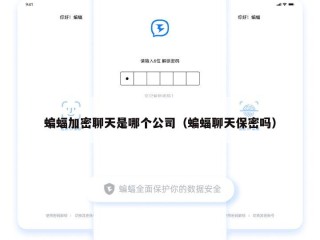 蝙蝠加密聊天是哪个公司（蝙蝠聊天保密吗）