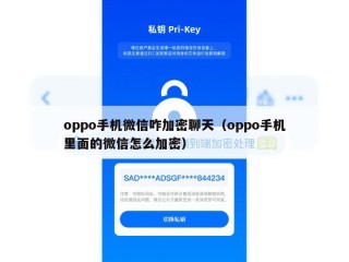 oppo手机微信咋加密聊天（oppo手机里面的微信怎么加密）
