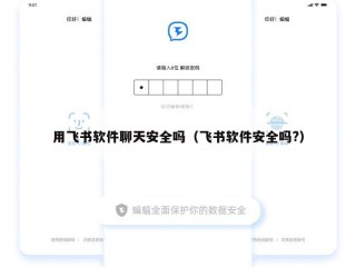 用飞书软件聊天安全吗（飞书软件安全吗?）