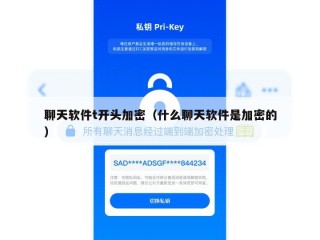 聊天软件t开头加密（什么聊天软件是加密的）
