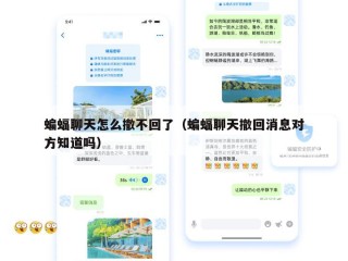 蝙蝠聊天怎么撤不回了（蝙蝠聊天撤回消息对方知道吗）