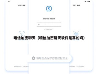 暗信加密聊天（暗信加密聊天软件是真的吗）