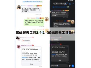 蝙蝠聊天工具2.4.1（蝙蝠聊天工具是什么）