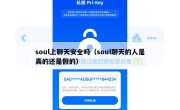 soul上聊天安全吗（soul聊天的人是真的还是假的）