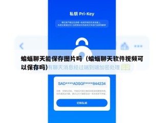 蝙蝠聊天能保存图片吗（蝙蝠聊天软件视频可以保存吗）