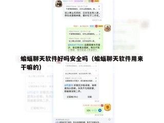 蝙蝠聊天软件好吗安全吗（蝙蝠聊天软件用来干嘛的）