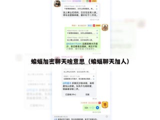 蝙蝠加密聊天啥意思（蝙蝠聊天加人）