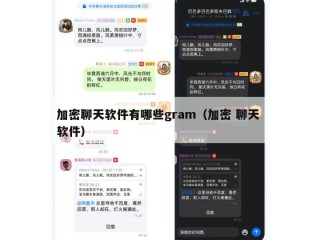 加密聊天软件有哪些gram（加密 聊天 软件）