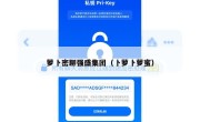 萝卜密聊强盛集团（卜萝卜萝蜜）