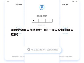 国内安全聊天加密软件（新一代安全加密聊天软件）