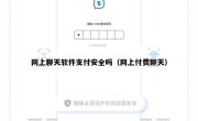 网上聊天软件支付安全吗（网上付费聊天）