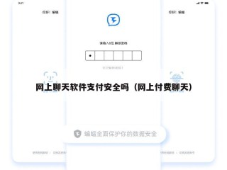 网上聊天软件支付安全吗（网上付费聊天）
