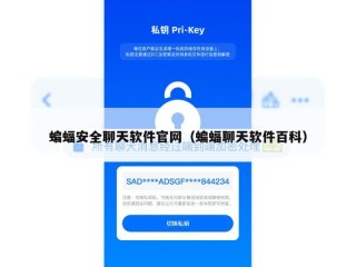 蝙蝠安全聊天软件官网（蝙蝠聊天软件百科）