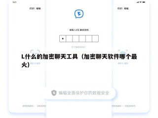 L什么的加密聊天工具（加密聊天软件哪个最火）