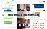 蝙蝠加密聊天记录（蝙蝠销毁聊天记录）