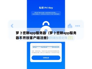 萝卜密聊app服务器（萝卜密聊app服务器不开放客户端注册）