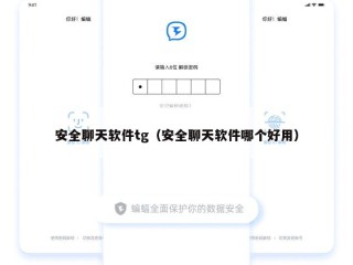 安全聊天软件tg（安全聊天软件哪个好用）