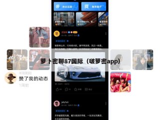 萝卜密聊87国际（啵萝密app）