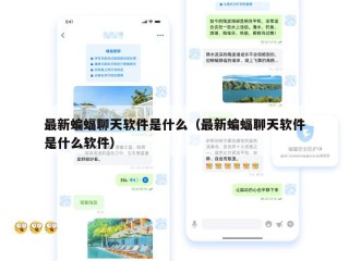 最新蝙蝠聊天软件是什么（最新蝙蝠聊天软件是什么软件）