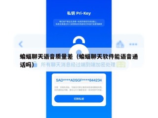 蝙蝠聊天语音质量差（蝙蝠聊天软件能语音通话吗）